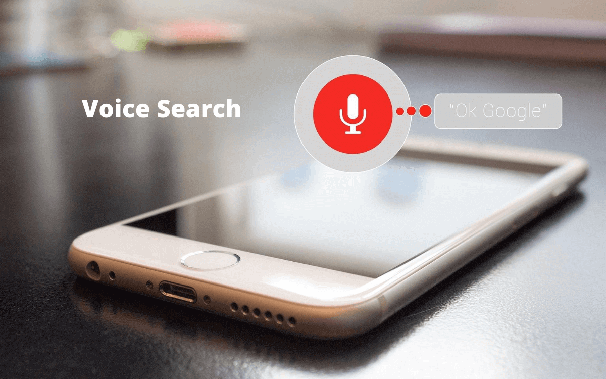 seo trends voice search