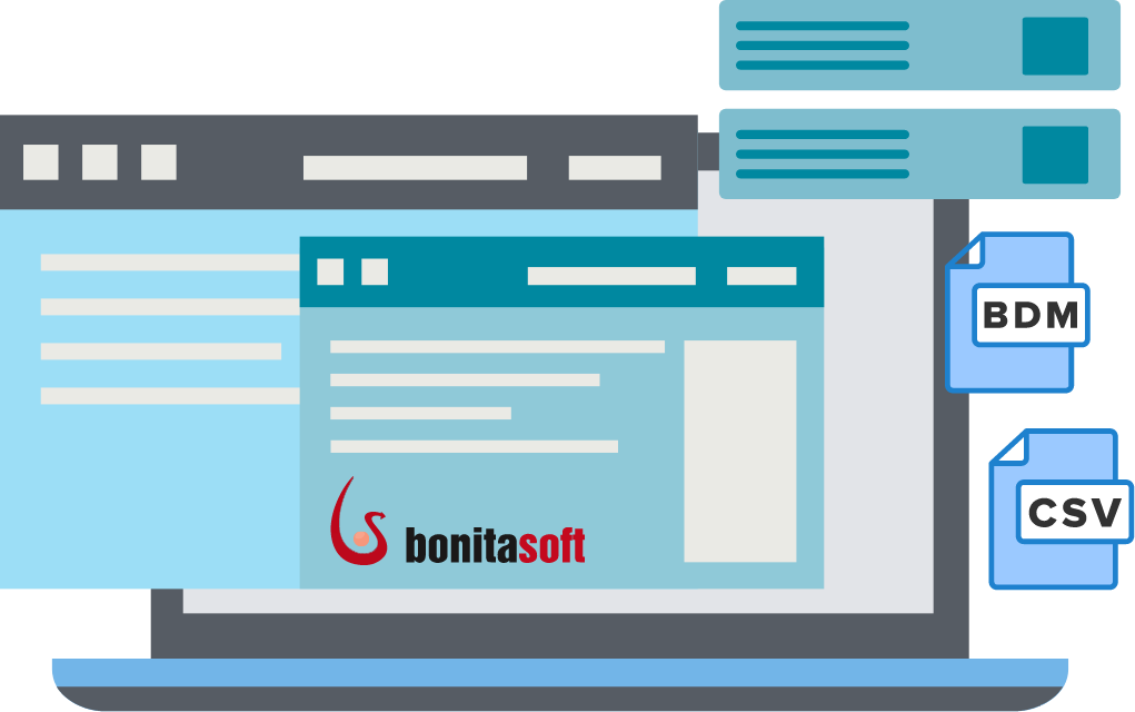 Custom Widget for BDM Download CSV