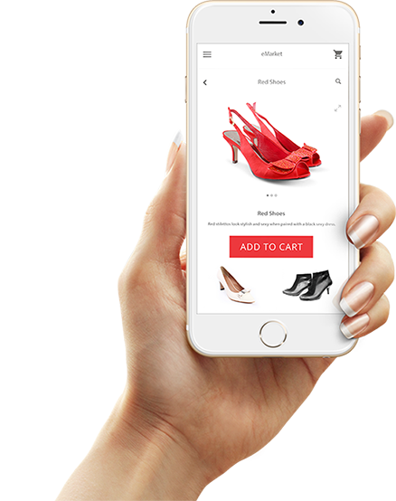 Website Design and Development