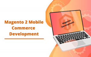 magento web development company