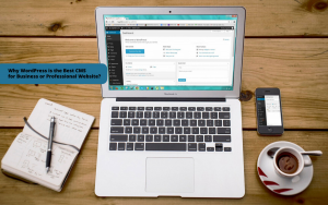 wordpress is the best cms for professional websites